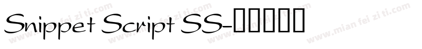 Snippet Script SS字体转换